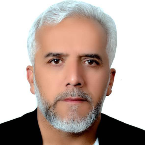 حاجی بهادر شاه  احمدی